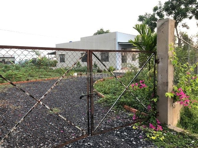 Nhà vườn 1800m2, 2 PN, nội thất cơ bản, xã Hoà Khánh Đông, Đức Hòa cũ 