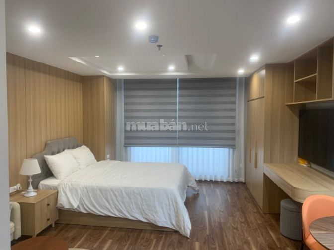 Cho thuê toà CHDV cao cấp khu Đào Tấn, 9P full đồ 