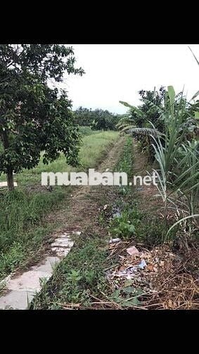 Bán đất mặt tiền Quốc lộ 54 phường Đông Thành