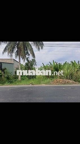 Bán đất mặt tiền Quốc lộ 54 phường Đông Thành