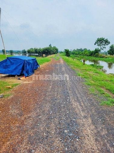 Bán 1749m2 đất, thuộc Tân Phú Trung xã Củ Chi..