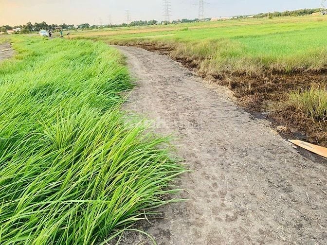 Bán 1749m2 đất, thuộc Tân Phú Trung xã Củ Chi..