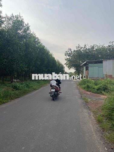 Đất nền An Viễn 1 sẹc Phùng Hưng gần kcn Giang Điền 1ty1 gần ủy ban xã