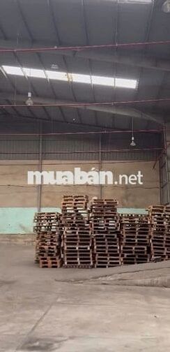 Kho diện tích lên đến 500m2 cần cho thuê gấp ở Đào Trí đường xe cont