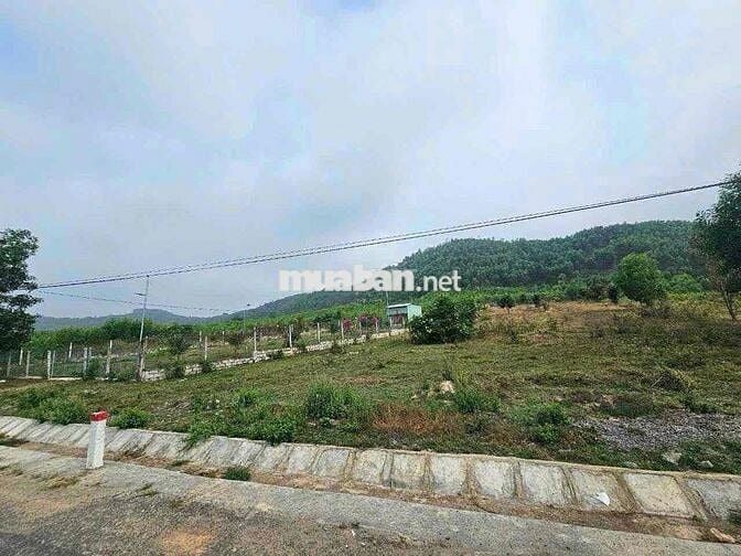 ☘️Bán Đất mặt tiền đường hl62 xã Diên Tân(cũ) nay thuộc xã Diên Thọ