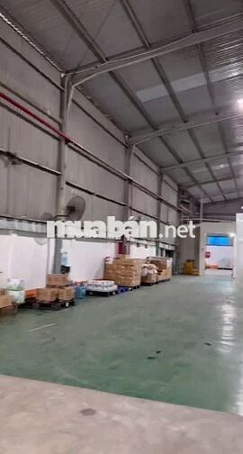 Cần cho thuê gấp kho đẹp với giá rẻ diện tích 730m2 ở Huỳnh Tấn Phát