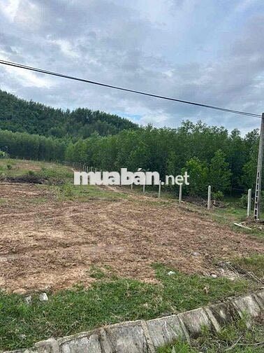 ☘️Bán Đất mặt tiền đường hl62 xã Diên Tân(cũ) nay thuộc xã Diên Thọ