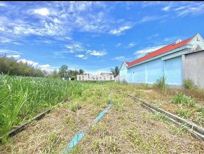 🏡 CHÍNH CHỦ CẦN BÁN ĐẤT ĐẸP – TÂN PHÚ TRUNG, CỦ CHI 🏡