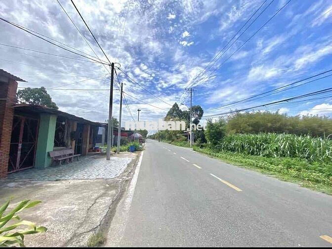 🏡 CHÍNH CHỦ CẦN BÁN ĐẤT ĐẸP – TÂN PHÚ TRUNG, CỦ CHI 🏡