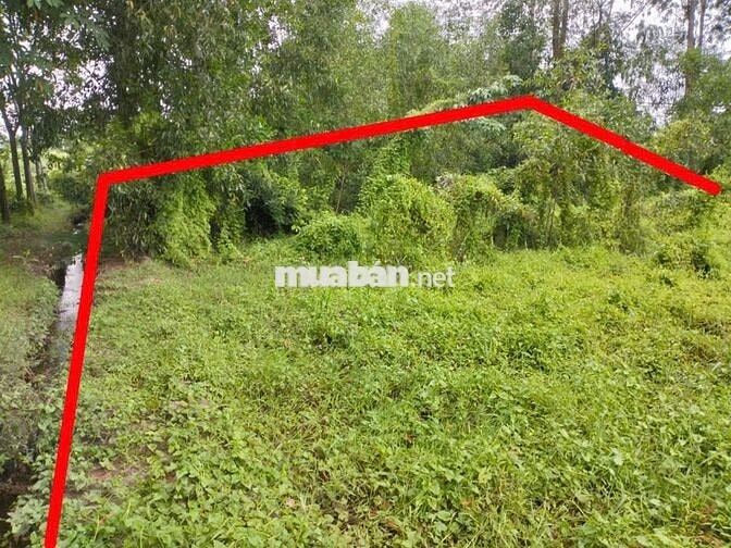 Chính chủ bán đất 2961m2 mặt tiền Tỉnh lộ 15, Quy hoạch full đất ở