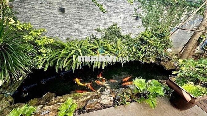 🔴 (NCC) CHO THUÊ NHÀ SÂN VƯỜN 2 TẦNG 200M2 - KHU NAM HÒA XUÂN  • Diện
