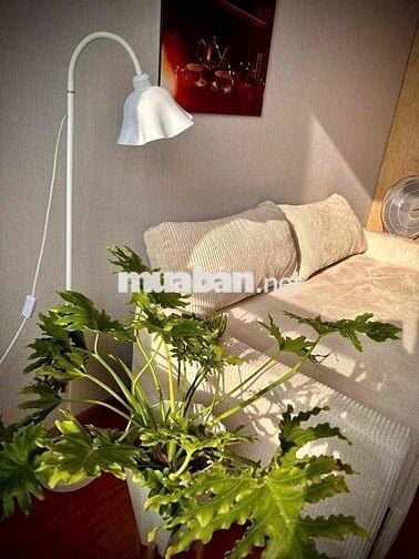 🏠 BÁN CĂN HỘ HIM LAM – P.11, Q.6 ✨ Tầng cao thoáng mát – View đẹp ngắm