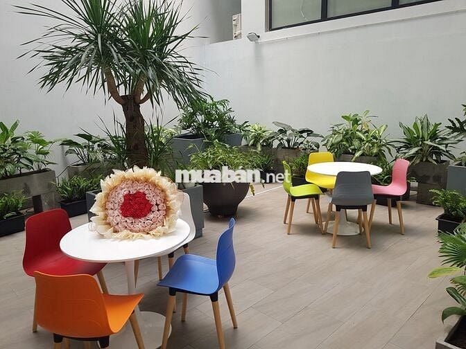 Căn hộ chung cư 1 PN (50M2) ban công ,full nội thất ,Bảo vệ - CMT8 Q10