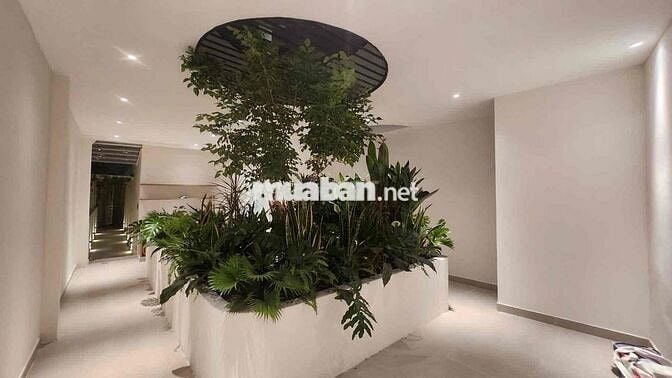 BÁN NHÀ NGUYỄN HỮU CẢNH - NỞ HẬU - F22 - BÌNH THẠNH