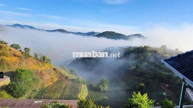 Sang nhượng Homestay 3 Tầng Mây