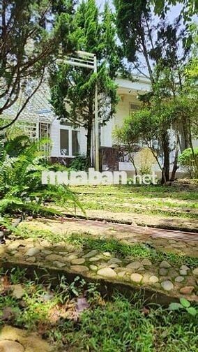Sang nhượng Homestay 3 Tầng Mây