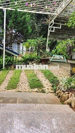 Sang nhượng Homestay 3 Tầng Mây