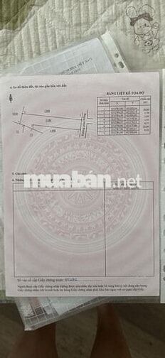 Kẹt tiền cần bán lô đất full thổ cạnh KCN Bàu Xéo