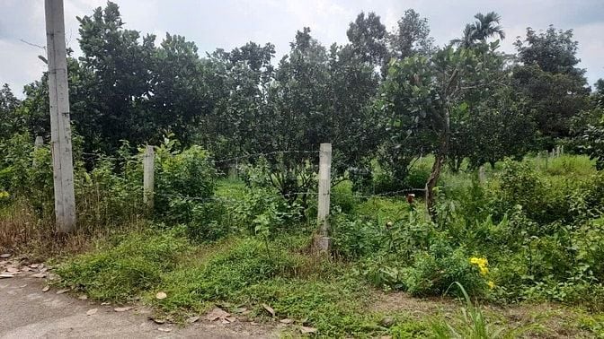 Cần bán gấp  246 m'2 đất thổ cư sẵn sổ 