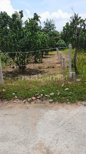 Cần bán gấp  246 m'2 đất thổ cư sẵn sổ 