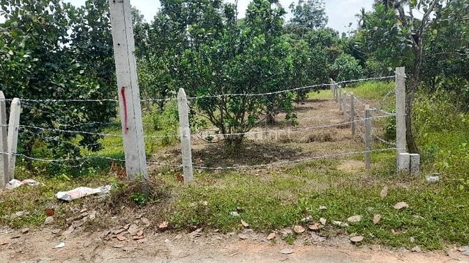 Cần bán gấp  246 m'2 đất thổ cư sẵn sổ 