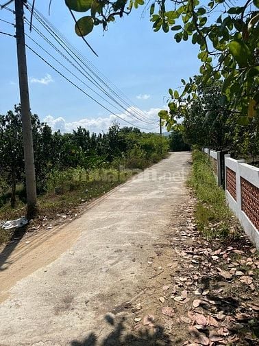 Cần bán gấp  246 m'2 đất thổ cư sẵn sổ 