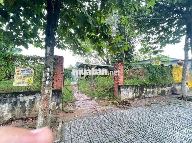 Đất An Tây mặt tiền Hùng Vương ngay đèn xanh đỏ.19,7x94 có giá tốt