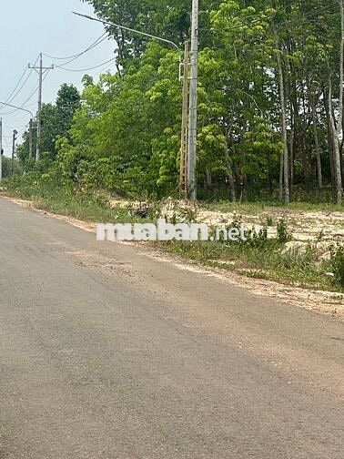 Sở hữu ngay đất ở Đ.DI3, P.Thới Hoà, Bến Cát ngay hôm nay mà chỉ 720tr