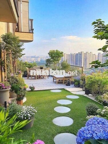 Căn sân vườn cần thanh lý nhanh 3ty490 không mặc cả