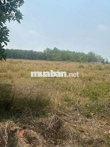 Sở hữu ngay đất ở Đ.DI3, P.Thới Hoà, Bến Cát ngay hôm nay mà chỉ 720tr