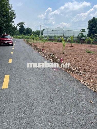 chính chủ cần bán lô đất mặt tiền nhựa ngay trung tâm xã an thái