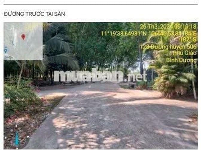 Bán ĐGTS đất tại xã Phú Giáo, TP. Hồ Chí Minh