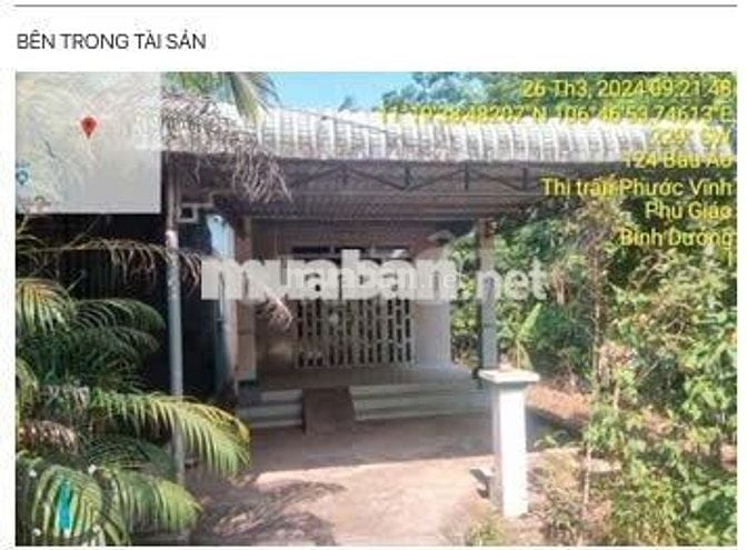 Bán ĐGTS đất tại xã Phú Giáo, TP. Hồ Chí Minh