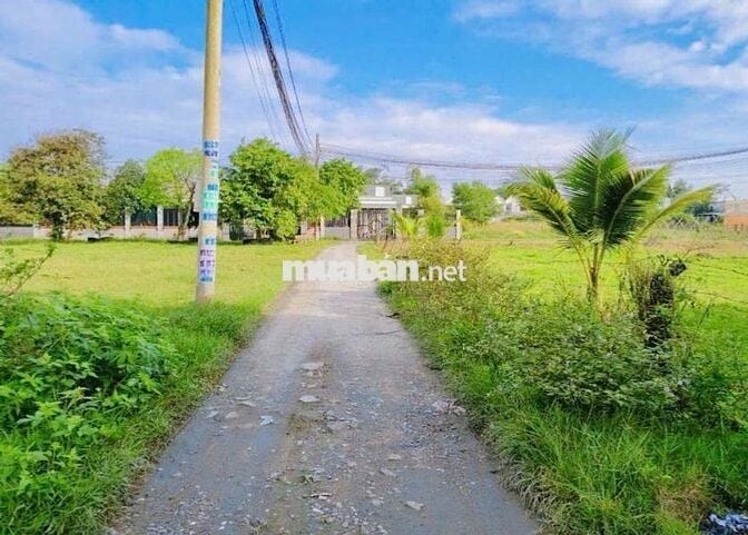 Đất hẻm ôtô đường TL.9, gần ngã 3 Mỹ Hạnh,DT: 5 x 27,60 (138m2)