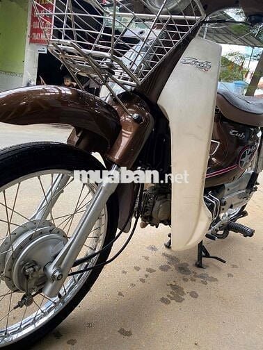 cub 50cc bst ngay chu