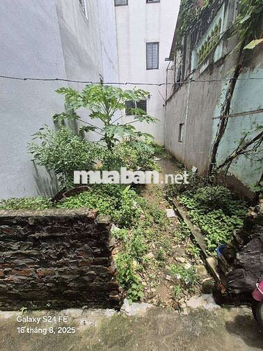 Chính chủ cần tiền bán gấp, mặt tiền rộng tứ hiệp 48m chỉ 5,5 tỷ Chính chủ cần tiền bán gấp, mặt tiền rộng tứ hiệp 48m chỉ 5,5 tỷ