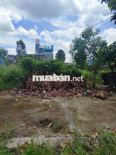 bán lại lô đất thổ cư 100m2 ngay kcn Thạnh Phú