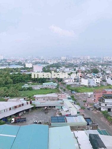 EM BÁN CĂN HỘ LÊ THÀNH TÂN TẠO GIÁ RẺ CÁC CHUNG CƯ .NHÀ MỚI 🌺