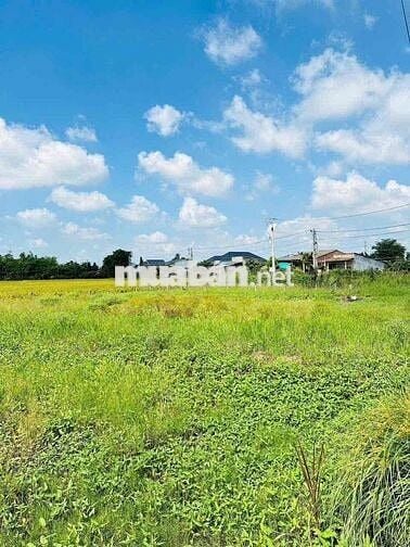 Đường Nhựa 655 Triệu 150m2 Thổ Cư Sổ Sẵn, Ngay Kế Chợ, Trường. Nền Cao