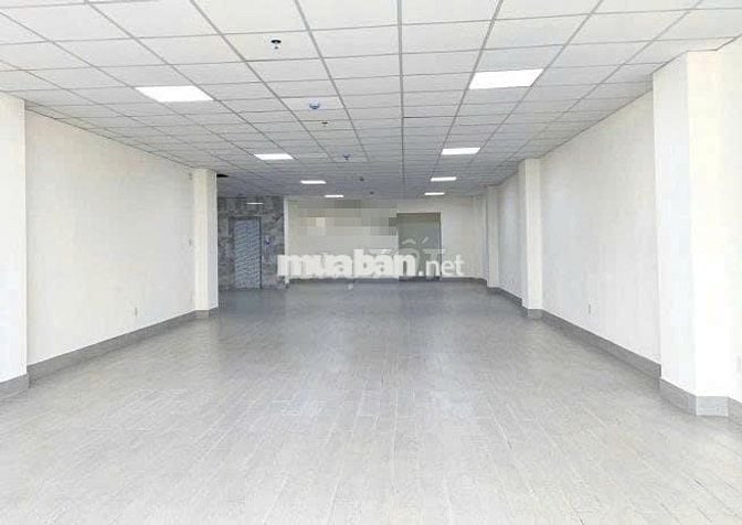 Nguyên căn MT Hoa Sữa Phường 02 quận Phú Nhuận Gần Phan Xích Long