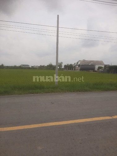 Bán 4.100 m2 đất mặt tiền TL 872B, Gò Công Tây, Tiền Giang, 5,5 tỷ TL
