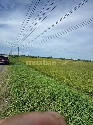 Bán 4.100 m2 đất mặt tiền TL 872B, Gò Công Tây, Tiền Giang, 5,5 tỷ TL