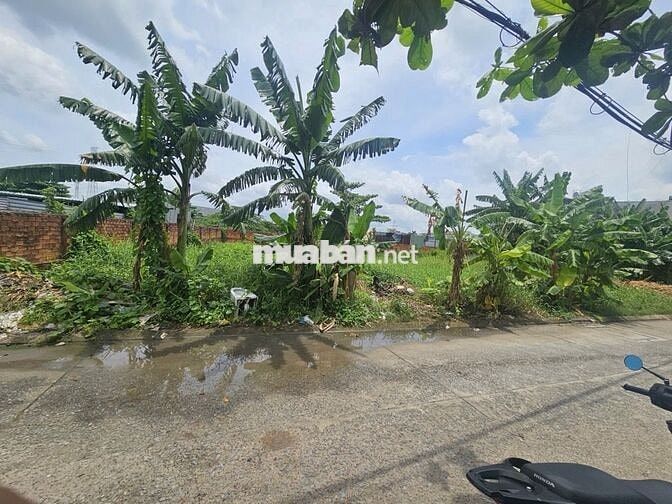 (N35M * D35,5M) ĐẤT HAI MẶT TIỀN, HẺM 10M.AN PHÚ ĐÔNG, VND: 16.8 TỶ TL
