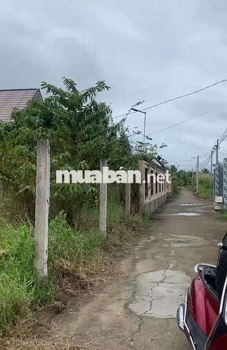 NỀN BIỆT THỰ PHÚ KHƯƠNG BẾN TRE 500 M²