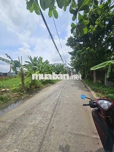 (N35M * D35,5M) ĐẤT HAI MẶT TIỀN, HẺM 10M.AN PHÚ ĐÔNG, VND: 16.8 TỶ TL