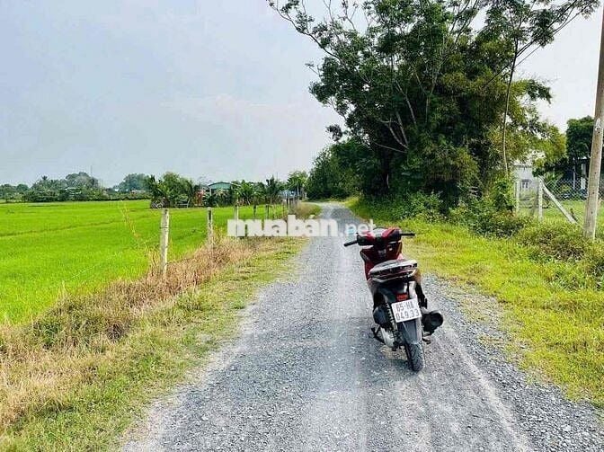 🌟 BÁN ĐẤT GIÁ RẺ – TRUNG LẬP HẠ (XÃ NHUẬN ĐỨC MỚI), CỦ CHI 🌟