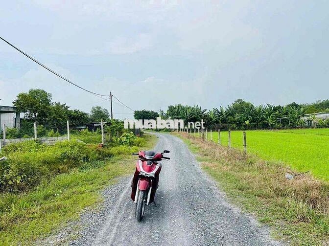 🌟 BÁN ĐẤT GIÁ RẺ – TRUNG LẬP HẠ (XÃ NHUẬN ĐỨC MỚI), CỦ CHI 🌟