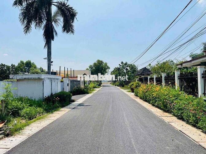 🏡 Bán đất MT đường 415 – Phước Vĩnh An, Củ Chi – 147m² thổ cư 100%