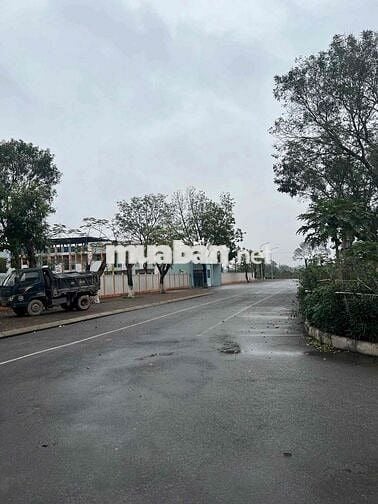 Bán đất tại Xã Mai Lâm, Đông Anh, Hà Nội, 95 triệu/m2, 130m2, hàng hot