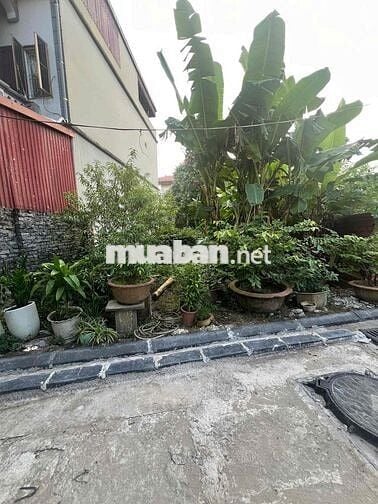 Bán đất tại Xã Mai Lâm, Đông Anh, Hà Nội, 95 triệu/m2, 130m2, hàng hot